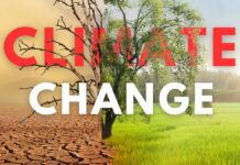 गर्मी अब सिर्फ़ मौसम नहीं, बीमारी बन गई है: लैंसेट रिपोर्ट की चेतावनी गर्मी अब सिर्फ़ मौसम नहीं, बीमारी बन गई है: लैंसेट रिपोर्ट की चेतावनी