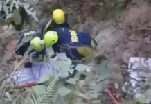 उत्तराखंड: यहां गहरी खाई में गिरी बरातियों की कार, 5 लोगों की दर्दनाक मौत, कई घायल