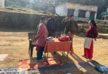 भालू की सक्रियता के दृष्टिगत वन विभाग ने गठित की टीम भालू की सक्रियता के दृष्टिगत वन विभाग ने गठित की टीम