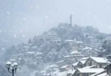 ठंड की दस्तक: मसूरी में सीजन की पहली बर्फबारी, मौसम हुआ सुहाना