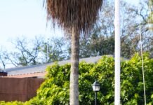 77 वें गणतंत्र दिवस पर मुख्यमंत्री आवास में सीएम धामी ने फहराया तिरंगा