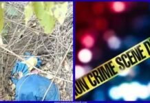 ओखलकांडा में रहस्यमय हालात में मिला शव, कई दिन पुराना होने की आशंका