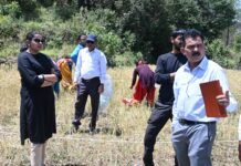 खेतों में पहुंचीं डीएम नितिका खण्डेलवाल, फसल कटाई प्रयोग का किया निरीक्षण