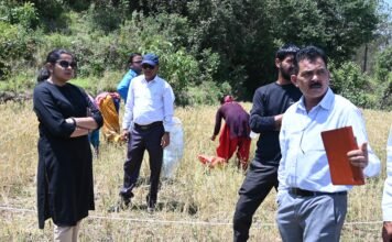 खेतों में पहुंचीं डीएम नितिका खण्डेलवाल, फसल कटाई प्रयोग का किया निरीक्षण