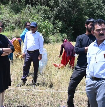 खेतों में पहुंचीं डीएम नितिका खण्डेलवाल, फसल कटाई प्रयोग का किया निरीक्षण
