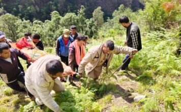 दर्दनाक हादसा: अंतिम संस्कार के लिए जा रहे परिजन, वाहन खाई में गिरा—3 की गई जान