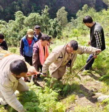 दर्दनाक हादसा: अंतिम संस्कार के लिए जा रहे परिजन, वाहन खाई में गिरा—3 की गई जान