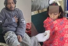 चमोली के ज्योतिर्मठ में भालू का आतंक, गाय को बचाने पहुंचे चार लोगों पर किया हमला