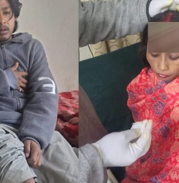 चमोली के ज्योतिर्मठ में भालू का आतंक, गाय को बचाने पहुंचे चार लोगों पर किया हमला